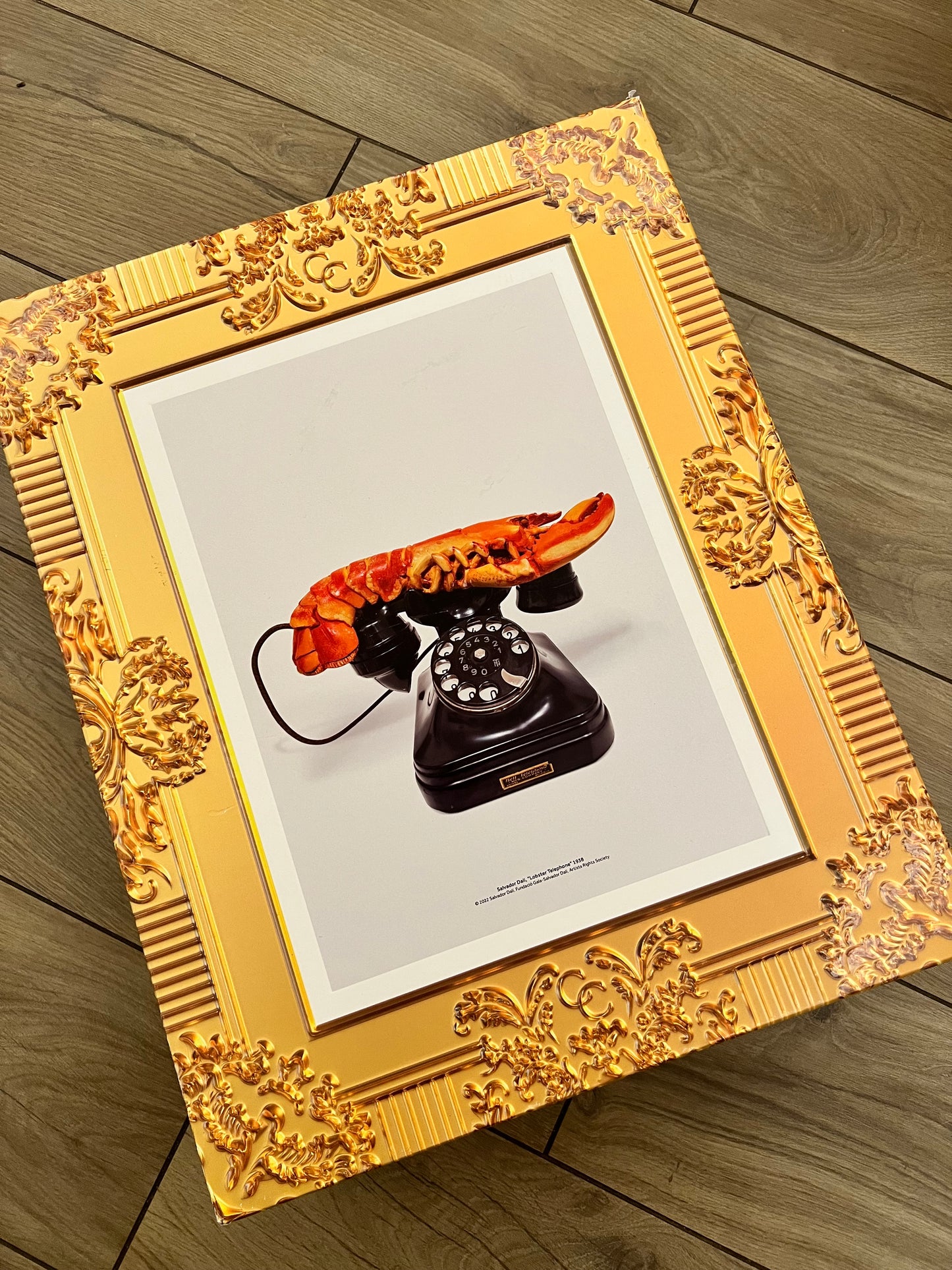 Dunk SB Orange Lobster Special Box - brand new