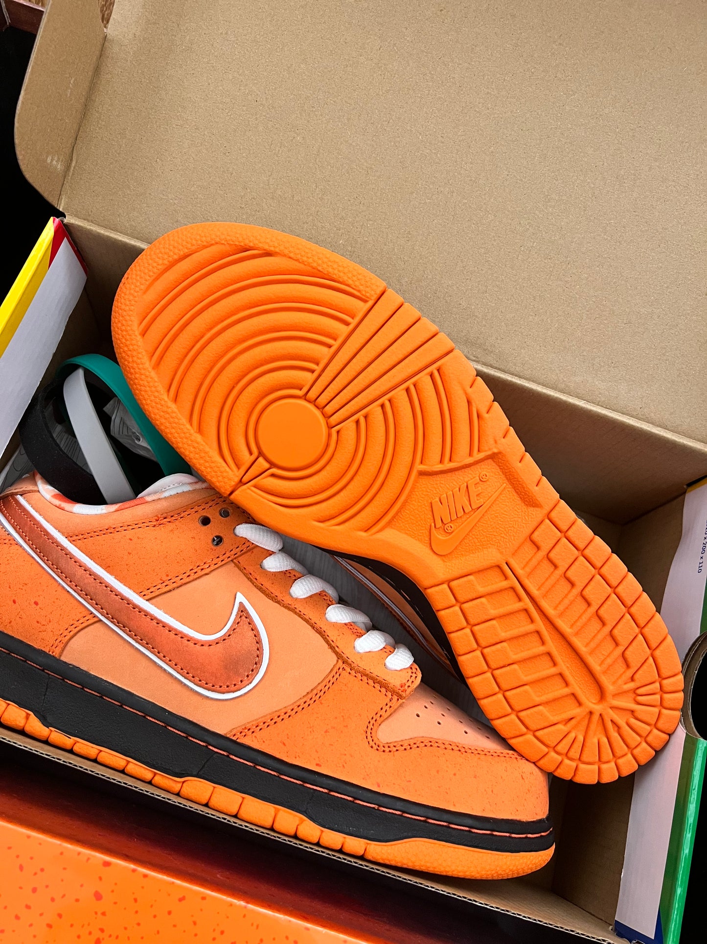 Dunk SB Orange Lobster Special Box - brand new